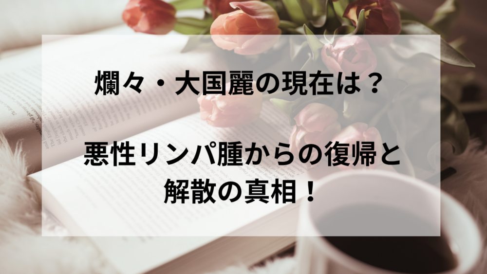 爛々大国麗の現在を紹介するブログ記事のアイキャッチ